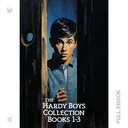 HardyBoys1...