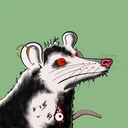 Possum #4167