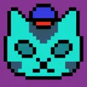 name294