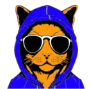 CoolCaT