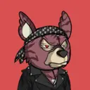 SavageBears1256