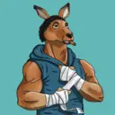 kangaroofightsociety#2653