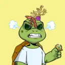DeedMirthCamol