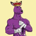 kangaroofightsociety#3427