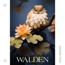 Walden650