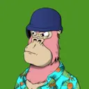 ChilledKong1451