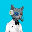 ALLEYKATZ02619