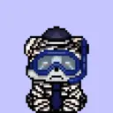 HOSHI1350