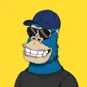 ChilledKong4483