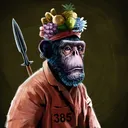 adapeAlidorBaldwin