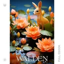 Walden578