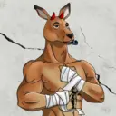 kangaroofightsociety#1456