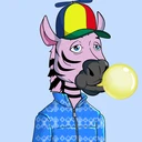 ZESTYZEBRA3461