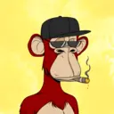 CardanoBoredApe2893