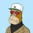 ChilledKong1198