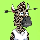 ZESTYZEBRA3678