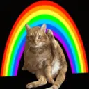 SIMBA CAT LEADER