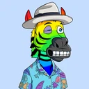 ZESTYZEBRA2985