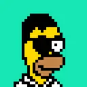 HomerPunks2893