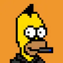 HomerPunks4748