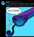 RSNEK