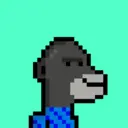 MonkeyWifhat2640