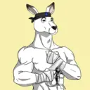 kangaroofightsociety#4150