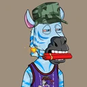 ZESTYZEBRA1478