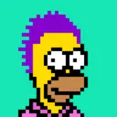 HomerPunks6522