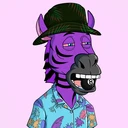 ZESTYZEBRA844