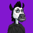 ZESTYZEBRA346