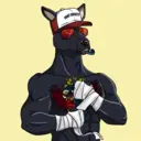 kangaroofightsociety#747