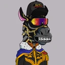 ZESTYZEBRA2132