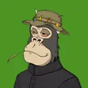 ChilledKong3368