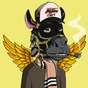 ZESTYZEBRA1580