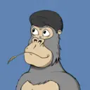ChilledKong5463
