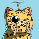 crycat1372