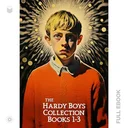 HardyBoys1...