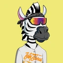 ZESTYZEBRA1062