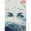 TheAwakening312