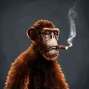 adapePrestonMars