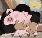 HuggingPig