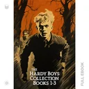 HardyBoys1...