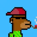 MoneyWifhat3377
