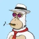 ChilledKong0028