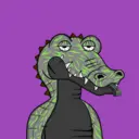 CardanoCrocsClub1053