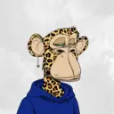CardanoBoredApe1981