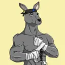 kangaroofightsociety#4405