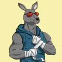 kangaroofightsociety#1306