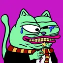 CHONKS3988